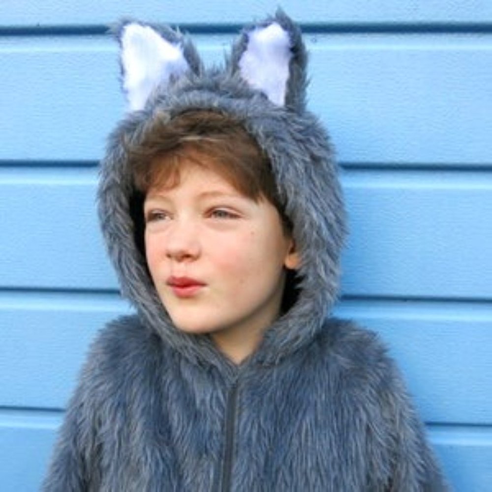 Cute 5-6 Wolf / Dog Costume